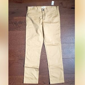 Express Khaki pants
